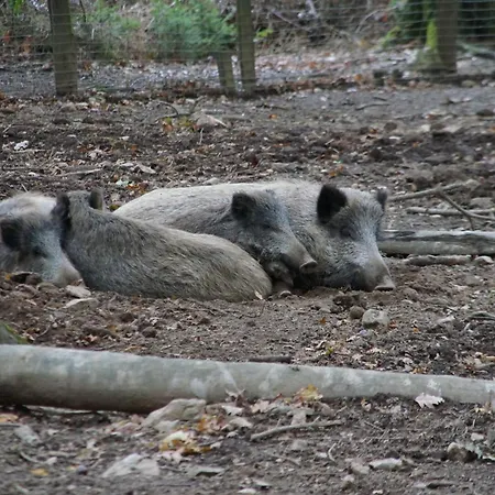 In Am Ravel-radweg Hike&bike&business