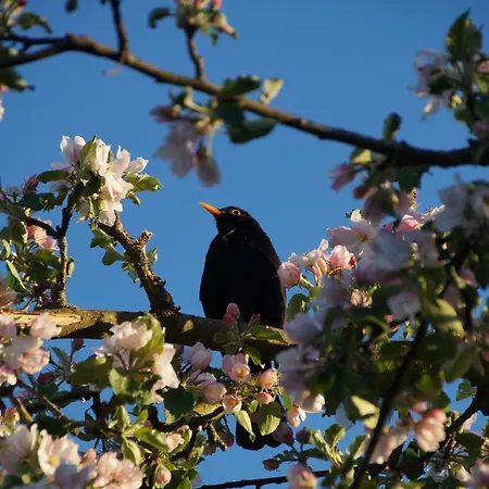 In Am Ravel-radweg Hike&bike&business *