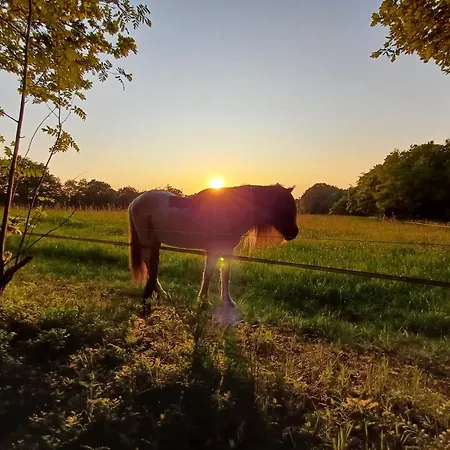 In Am Ravel-radweg Hike&bike&business Roetgen