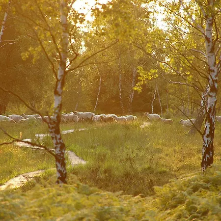 Apartment In Am Ravel-radweg Hike&bike&business Roetgen