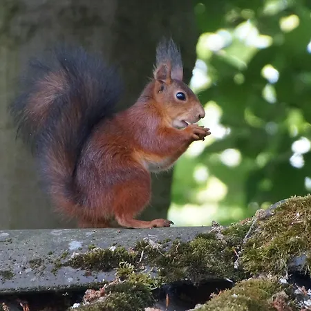 Apartment In Am Ravel-radweg Hike&bike&business