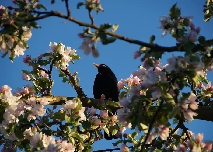 In Am Ravel-radweg Hike & Bike & Business *