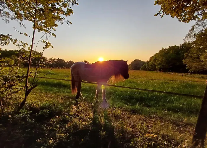 In Am Ravel-radweg Hike & Bike & Business Roetgen
