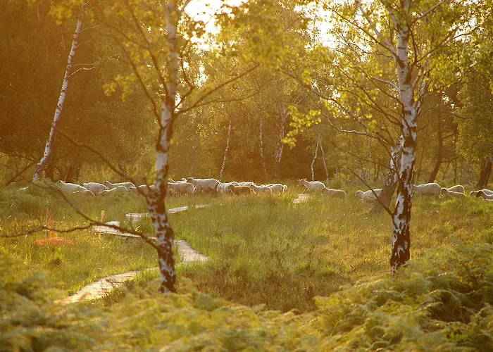 Daire In Am Ravel-radweg Hike & Bike & Business Roetgen