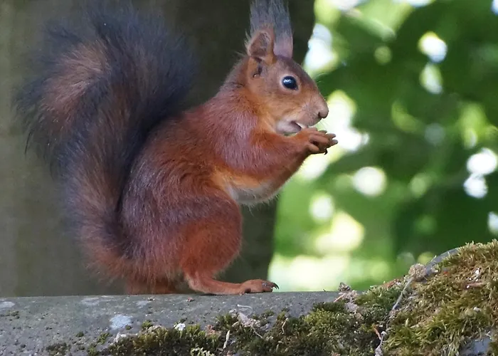 Daire In Am Ravel-radweg Hike & Bike & Business